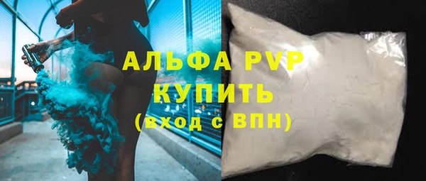 ешки Богданович