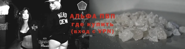 спиды Богородицк