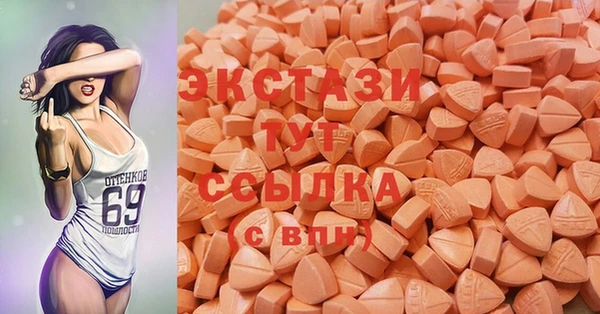 спиды Богородицк