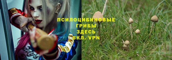 спиды Богородицк
